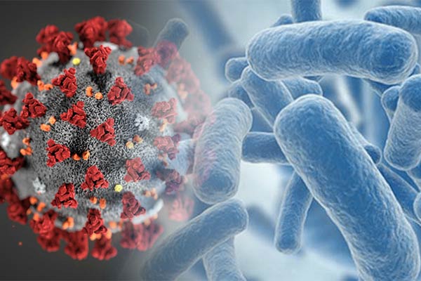  Zist Takhmir The First Producer Of Probiotics In Iran