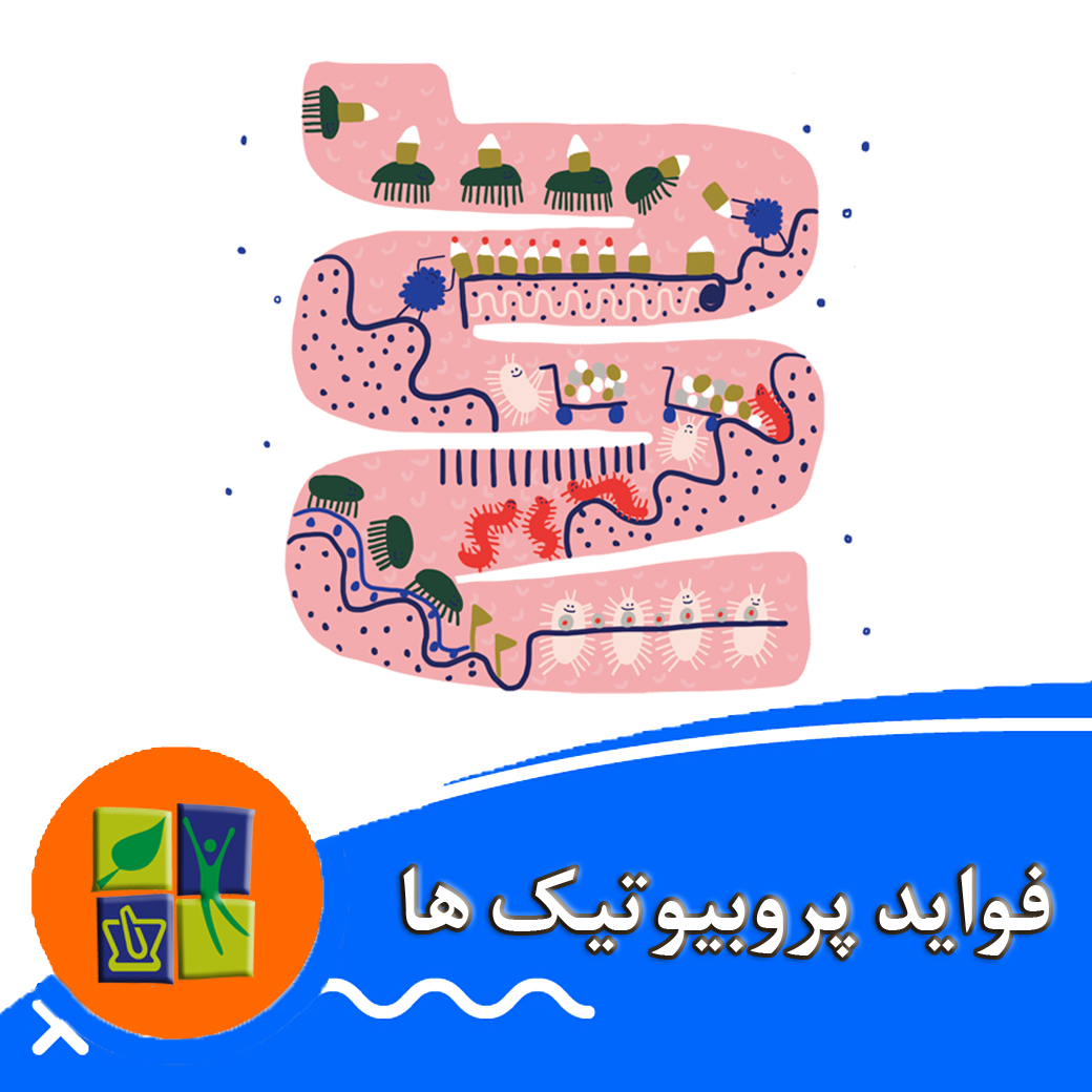 فواید پروبیوتیک ها