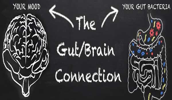 تاثیر پروبیوتیک ها بر سلامت مغزی