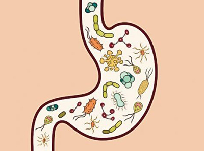 بازگرداندن تعادل باکتریایی به روده توسط پروبیوتیک ها