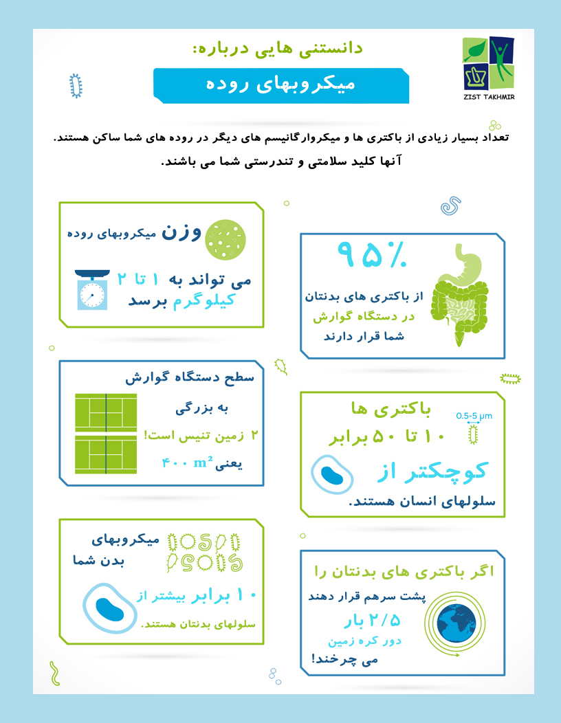 دانستنی هایی درباره میکروبهای روده