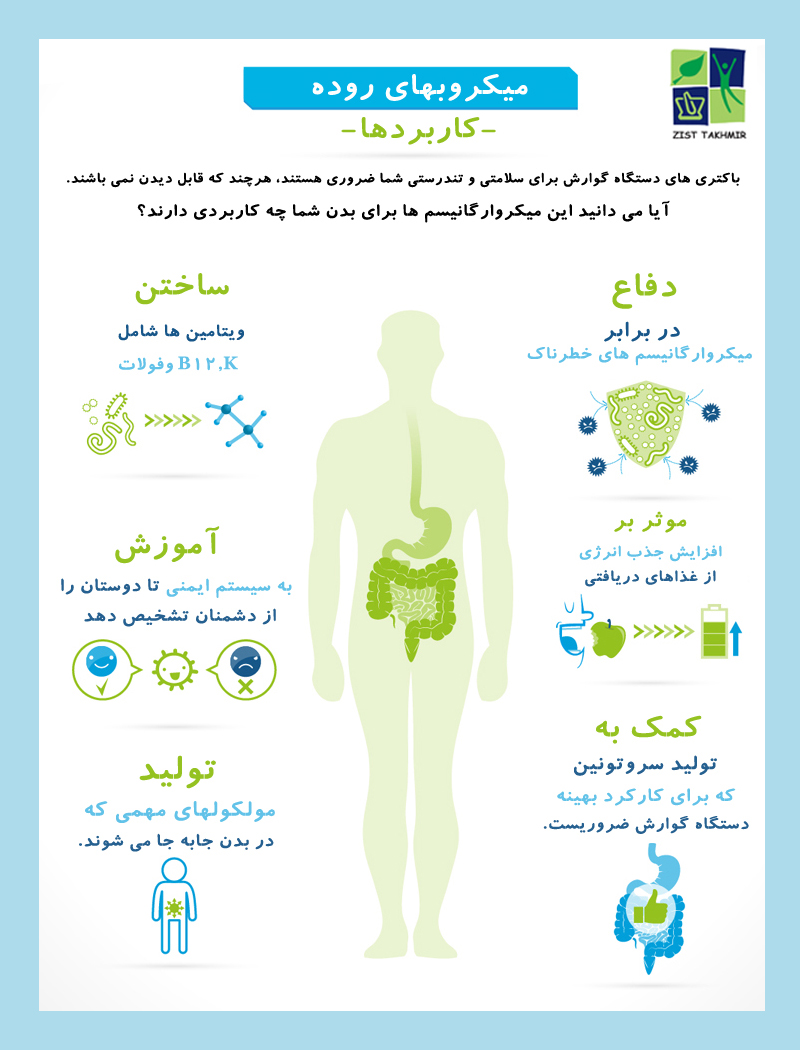 کاربردهای میکروبهای روده