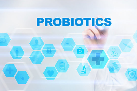 Best Probiotics for Men