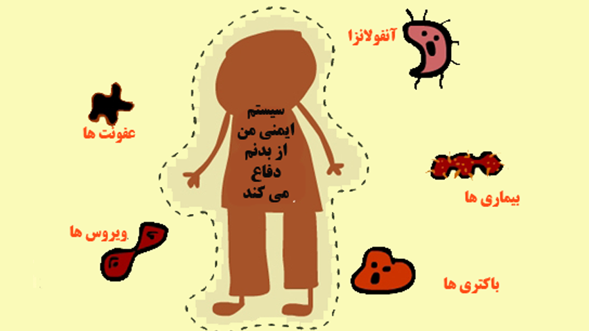 پروبیوتیک برای سیستم  ایمنی بدن (بخش دوم)