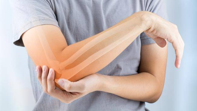 Probiotics May Be Good for Your Bones