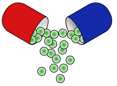 ?How to Choose a Probiotic
