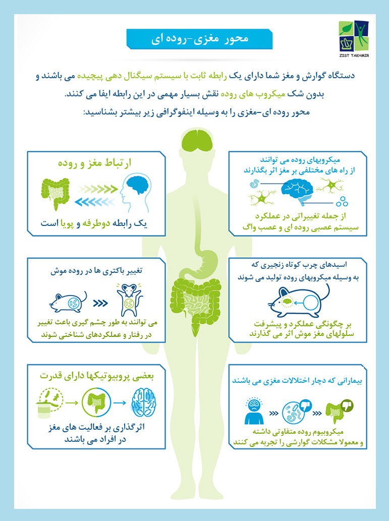 درباره محور روده ای_مغزی بیشتر بدانید
