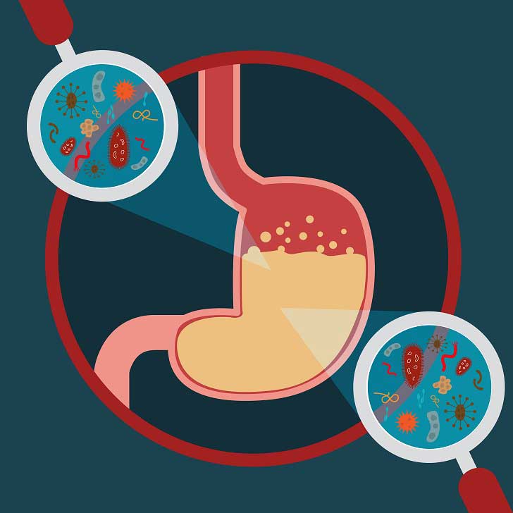 5 Signs of the unhealthy gut and how you can heal it