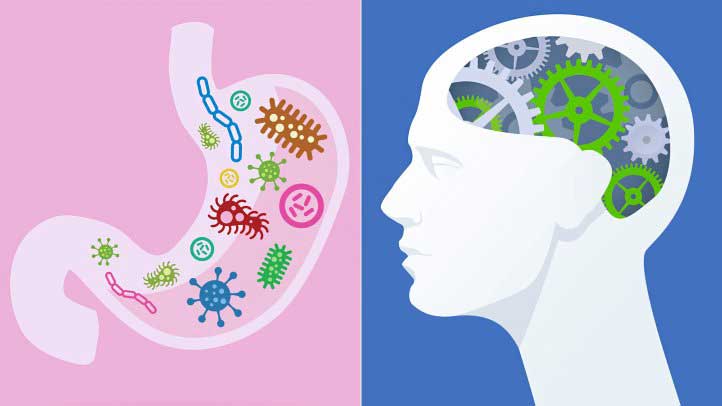 New research: gut bacteria and multiple sclerosis