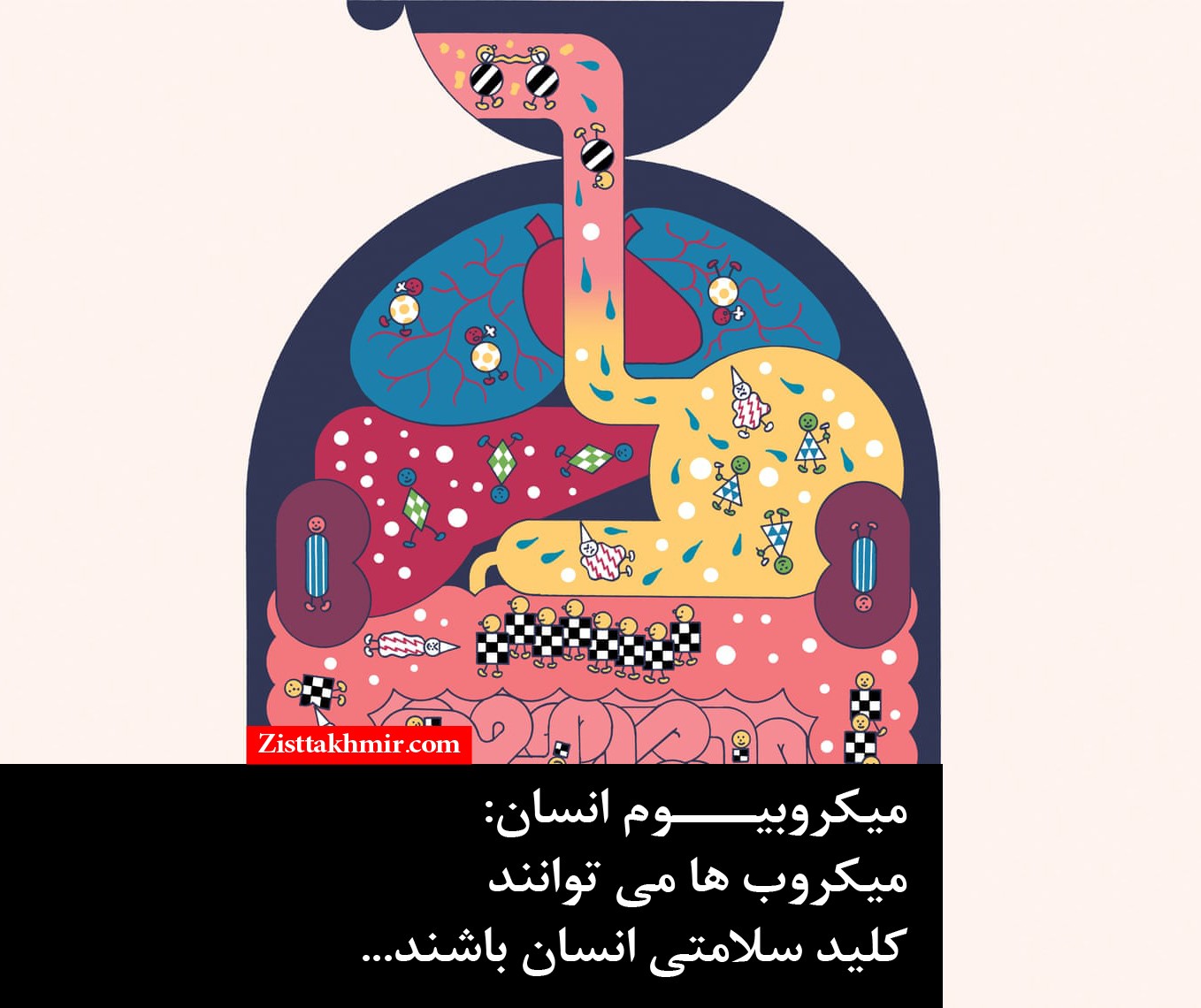 میکروبیوم انسان