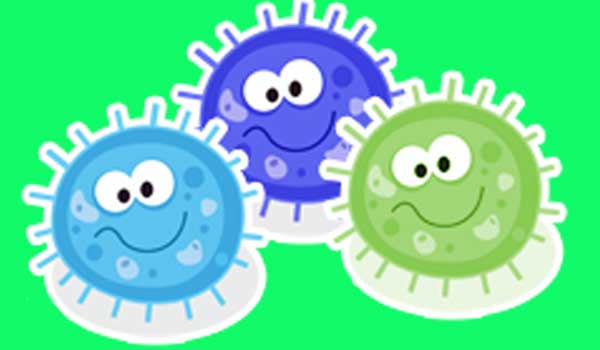 اینفوگرافی پروبیوتیک ها وپری بیوتیک ها