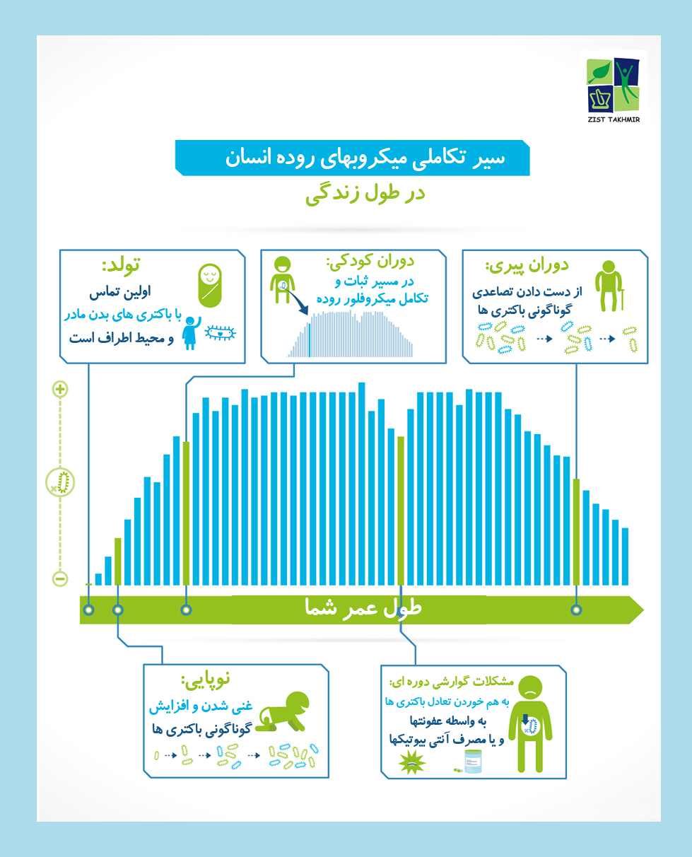 سیر تکاملی میکروبهای روده انسان