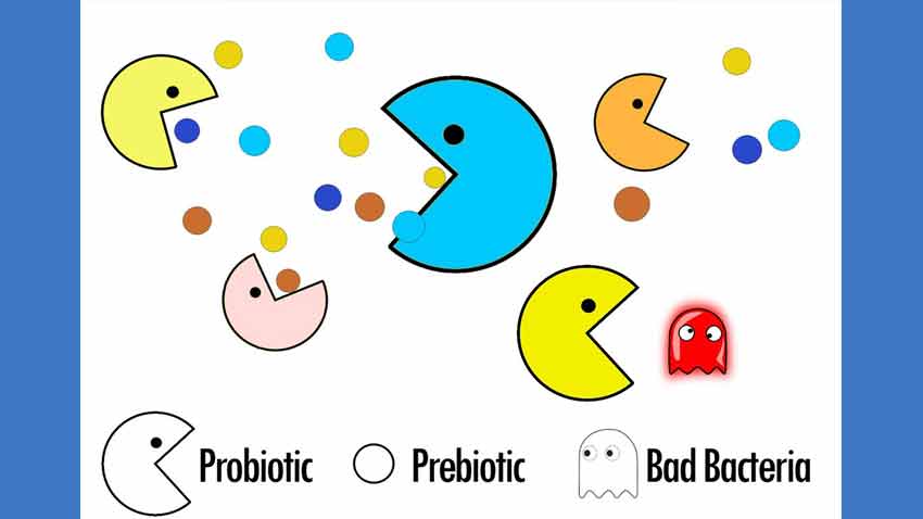 تفاوت پروبیوتیک و پری بیوتیک ها