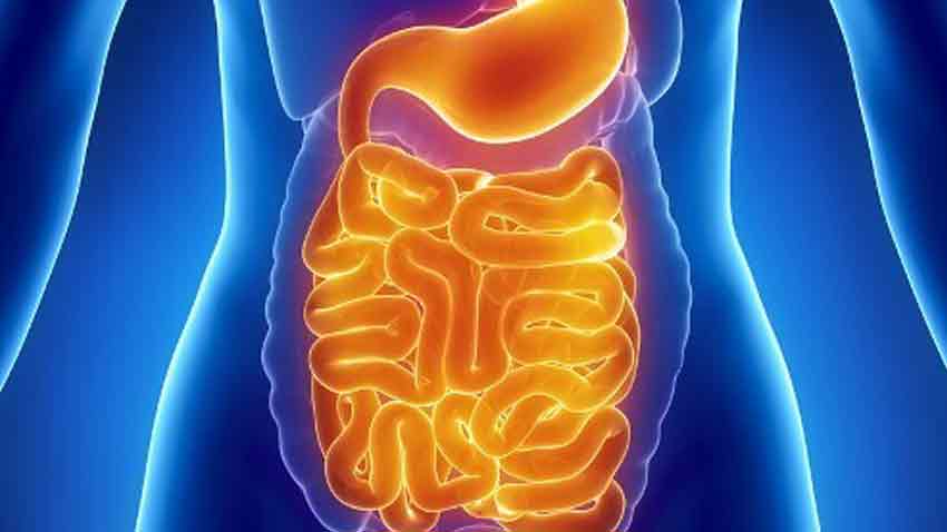 انجمن گوارش - تهران