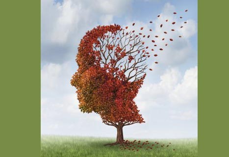 بهبود عملکرد مغز مبتلایان به آلزایمر با مصرف پروبیوتیک