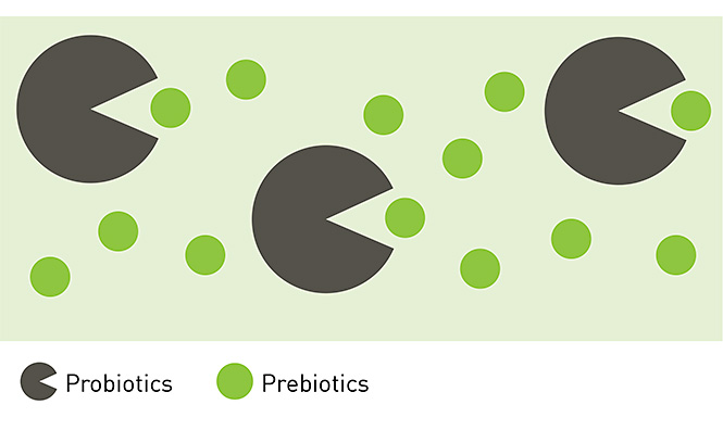 Prebiotics and Probiotics