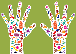 Probiotics and Your Microbiome