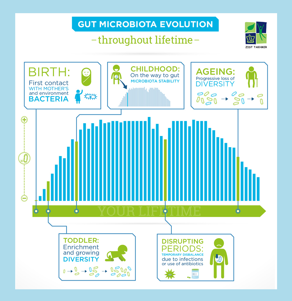 Gut microbiota evolution throughout lifetime