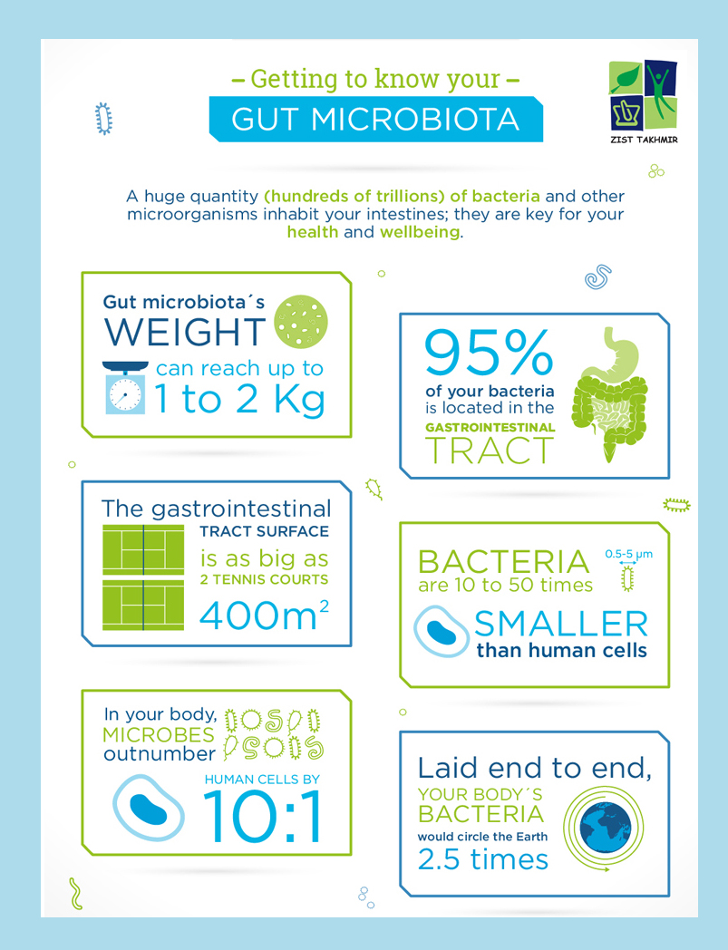 Getting to know your gut microbiota