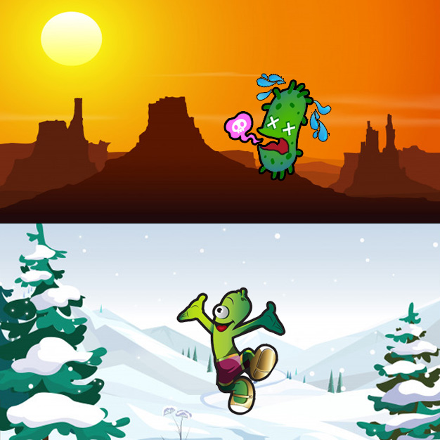 با انواع پروبیوتیک ها و شرایط صحیح نگهداری آنها بیشتر آشنا شوید