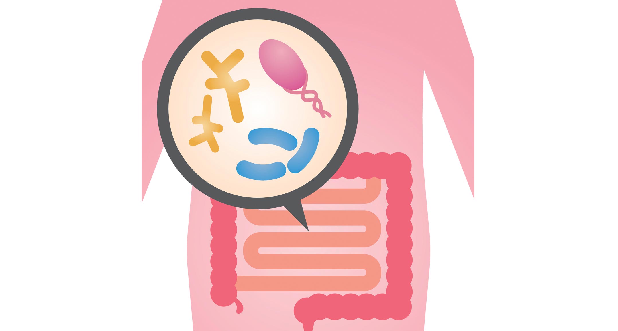 Effects of Probiotics, Prebiotics, and Synbiotics on Human Health