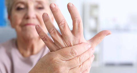 پروبیوتیک ها می توانند از استخوان های بانوان سالمند محافظت کنند