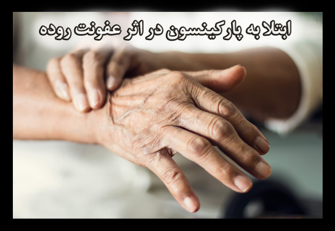 نقش پروبیوتیک ها در جلوگیری از ابتلا به پارکینسون