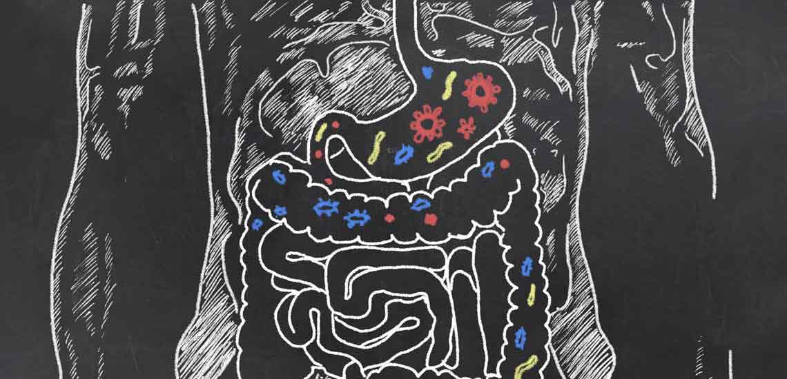 تاثیر باکتری های روده و کلم بروکلی در پیشگیری از سرطان روده