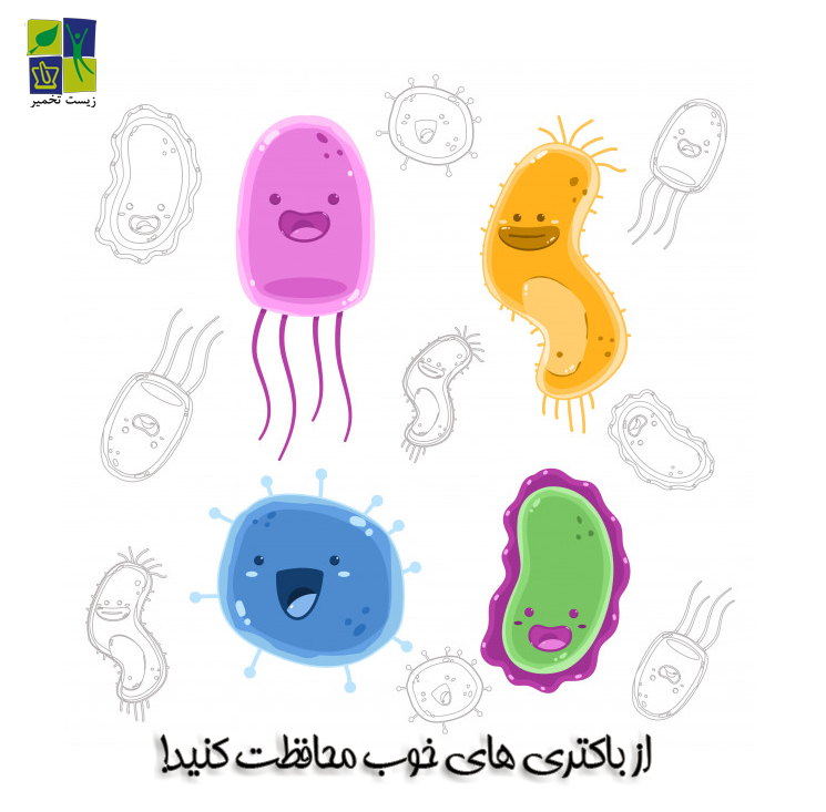 چگونه از باکتری های مفید روده محافظت کنیم؟