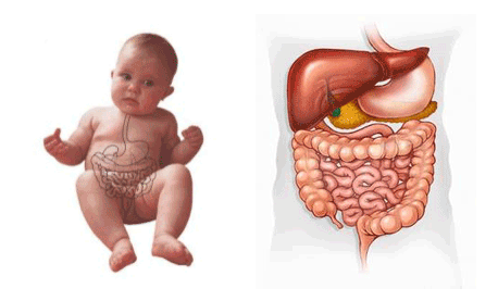 همایش سالیانه بیماری های شایع گوارش و کبد کودکان